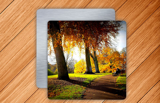 Metal Prints