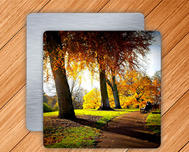 Order Metal Prints